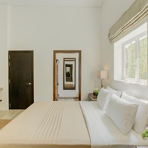 Chambre Supérieure Lit King-Size